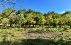 Land in Vipingo - 8
