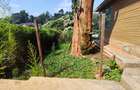 3 Bed House with En Suite in Spring Valley - 18