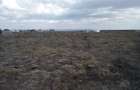 0.25 ac Land at Katani - 13