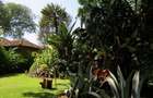 Land in Lavington - 12