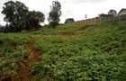 Land at Red Hill Rd - 6