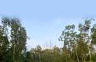 1,012 m² Land at Funzi Island Beach - 8
