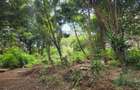 Land in Hurlingham - 8