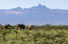 100 ac Land at Lolldaiga Valley - 6