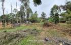 0.25 ac Land at Stream Drive - 1