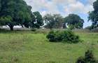 5 ac Land at Mavueni - 8