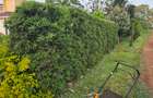 Residential Land in Kiambu Road - 4