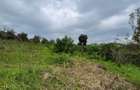 Commercial Land in Tigoni - 1