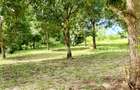 Land at Mtwapa - 9