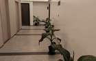 1 Bed Apartment with En Suite at Westlands - 11