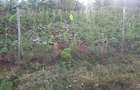 0.0113 ac Residential Land in Ngong - 7