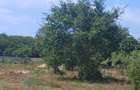 1,000 m² Residential Land at Vipingo - Kuruwitu - 20