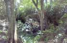 Commercial Land in Vipingo - 7