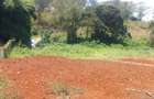 0.5 ac Residential Land at Muthithi - 16