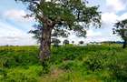 506 m² Land at Mavueni - Mariakani Bypass - 1