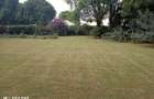 5 Bed House with En Suite at Off Un Avenue - 3