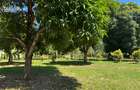 Land in Mtwapa - 10
