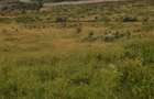 Land at Kibiko - 1