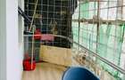 1 Bed Apartment with En Suite at 2026-108 - 26