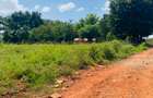 19 ac Land at Kenol-Makutano Highway - 10