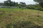 1 ac Land in Karen - 6
