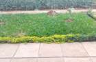 7 Bed Townhouse with En Suite at Ndege Road - 19