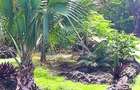 4 Bed House with En Suite at Kuruwitu Beach - 17