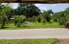 Land in Mtwapa - 6