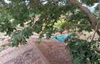 Land in Murang'a County - 8