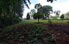 Residential Land at Kirawa Road - 7