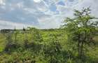 0.125 ac Land at Sakuda - 4