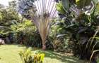 2 Bed House with En Suite at Lower Kabete Road - 3