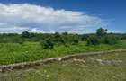 Land in Vipingo - 1