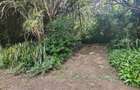 5 ac Land in Karen - 3