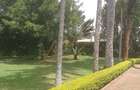 4 Bed House with En Suite at Njathaini Road - 9