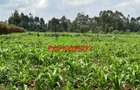 0.4 ha Land at Tilisi - 5