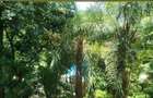 3 Bed Apartment with En Suite in Riverside - 2