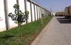 10,383 ft² Warehouse with Backup Generator in Mombasa Road - 19
