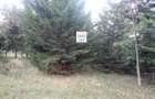 6 ac Land at Mukima Ridge - 7