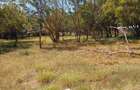 Land in Nyali Area - 12