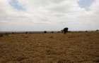 Land at Umma University - 8