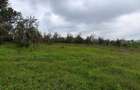 Commercial Land in Tigoni - 2