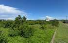 Land in Vipingo - 9