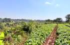 Land in Redhill - 8
