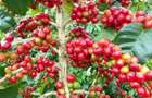 Land in Kiambu Road - 4