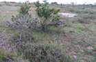 Land in Konza City - 4