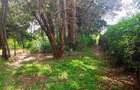 10 ac Land in Karen - 3