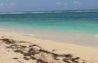 0.5 m² Residential Land at Vipingo Beach - 4