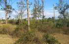 Land in Nyeri - 5