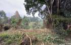 1 ac Land in Kitisuru - 13